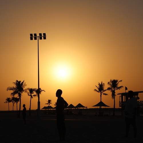Photo #11350421