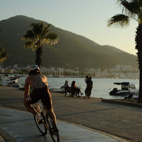 Photo #11350554