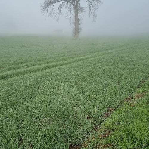 Photo #11350885