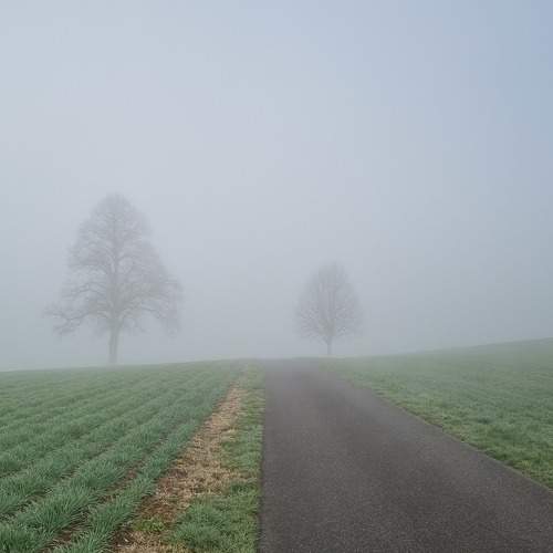 Photo #11350886