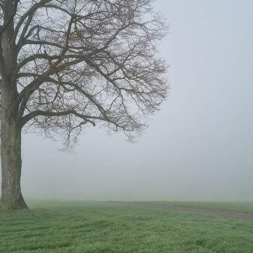 Photo #11350919