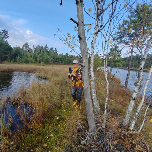 Photo #11351170