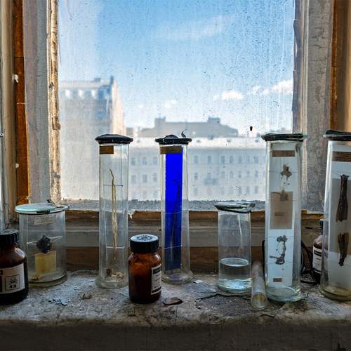 Photo #11351212