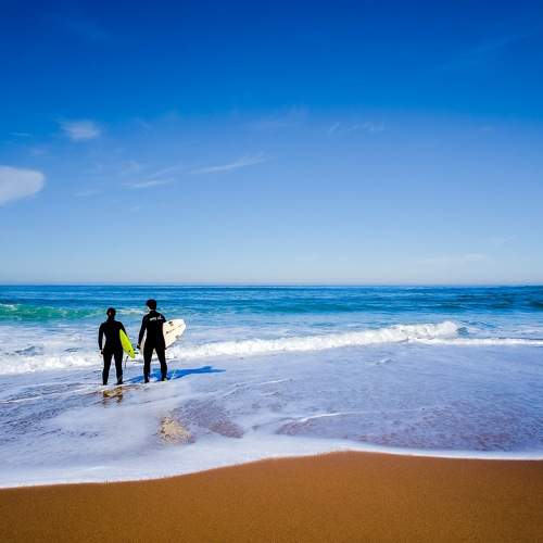 Photo #11351234