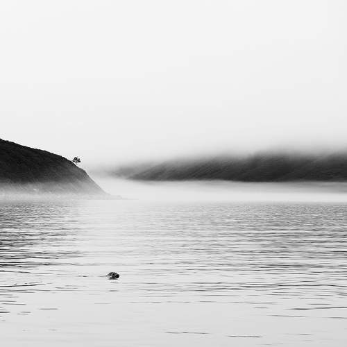 Photo #11351356