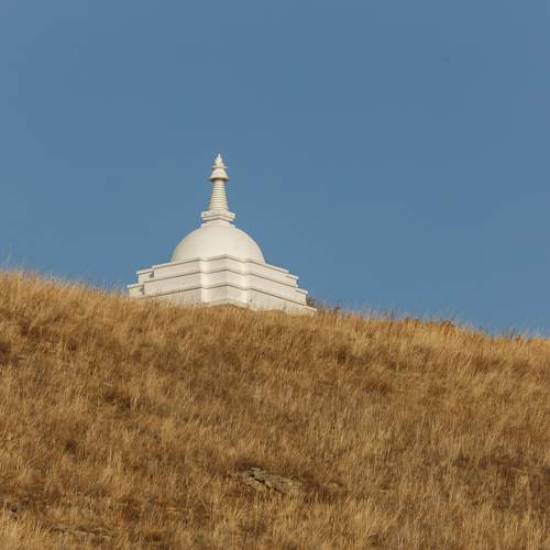 Photo #11351396