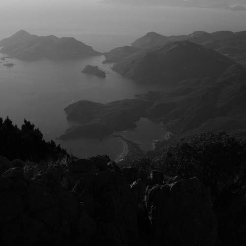 Photo #11351514