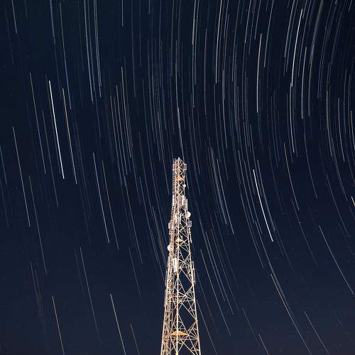 Photo #11351752