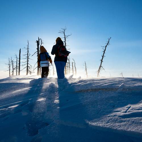Photo #11352281