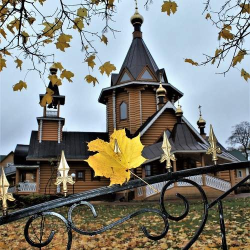 Photo #11352456