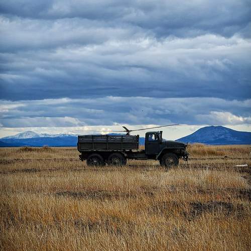 Photo #11352854