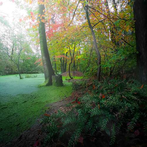 Autumn Colors
