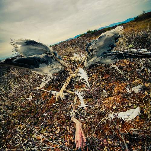 Photo #11353037