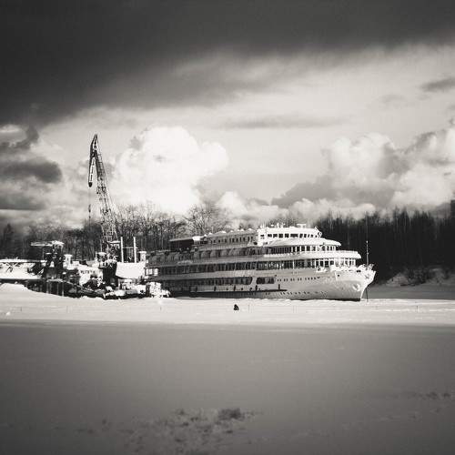 Photo #11353071