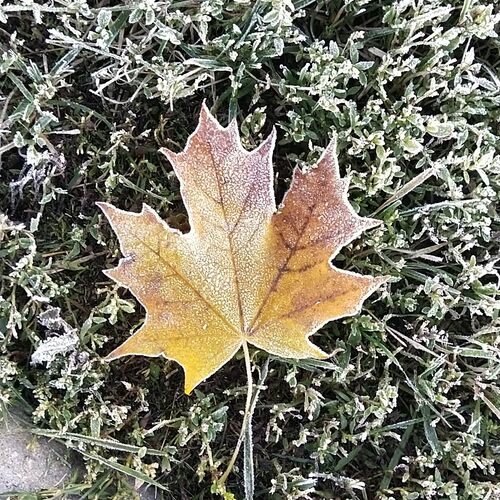 Photo #11353403