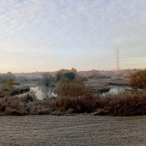Photo #11353421