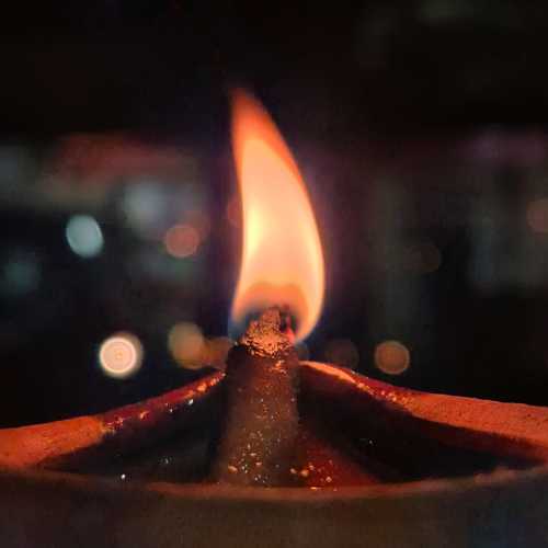 Photo #11353509