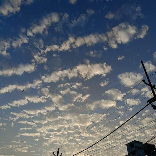 Photo #11353542