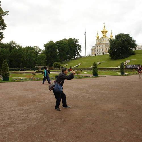 Photo #11353551