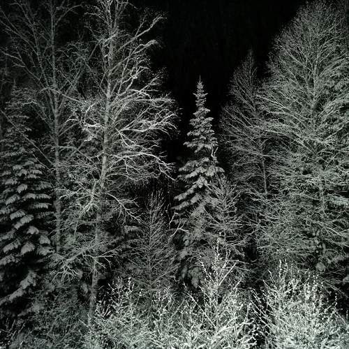 Photo #11353630