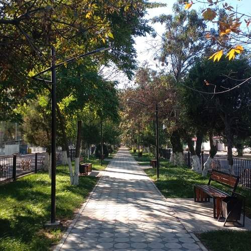 Photo #11353706