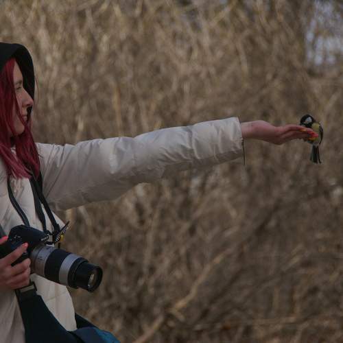 Photo #11353794