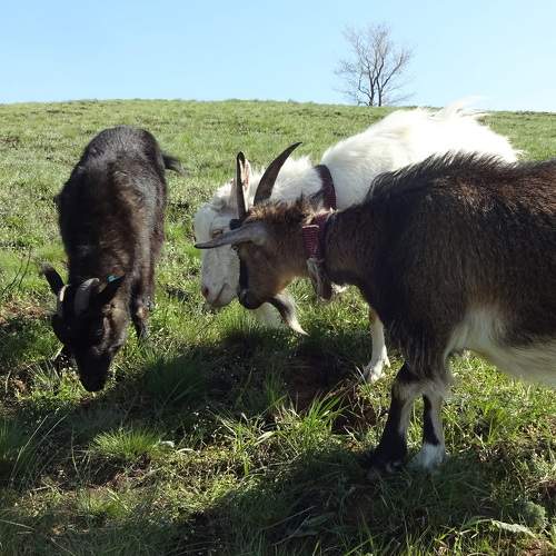 Photo #11353986