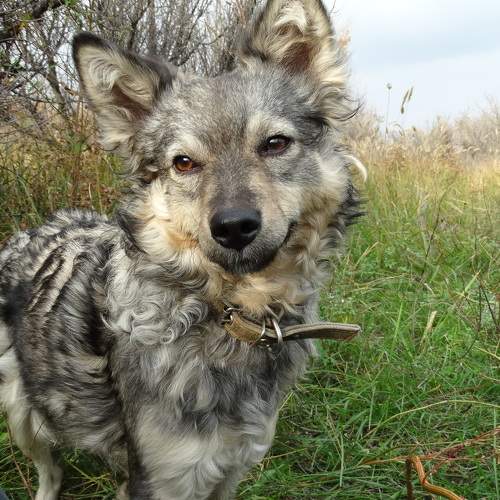 Photo #11354004