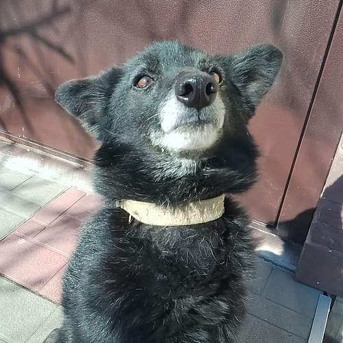 Photo #11354013