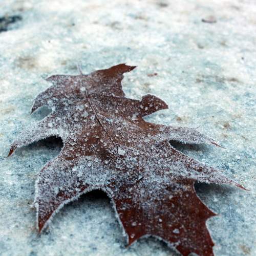 Photo #11354298