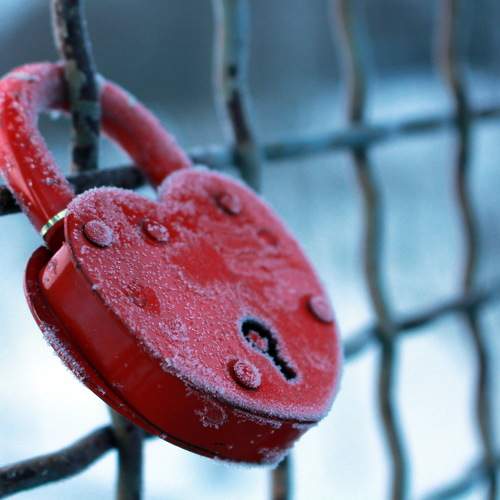 Photo #11354299