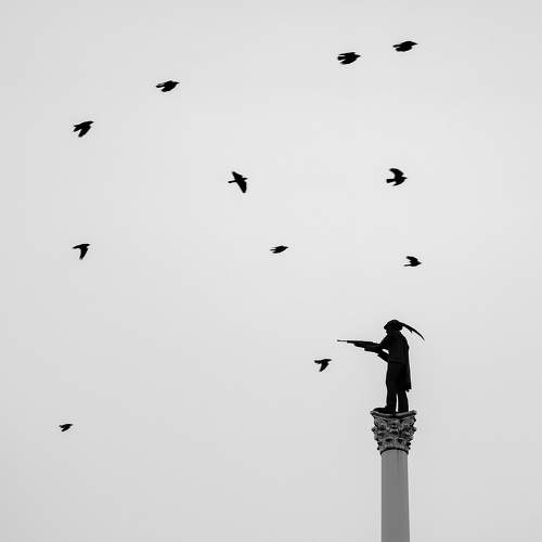 Фотография #11354402