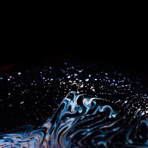 Photo #11354617
