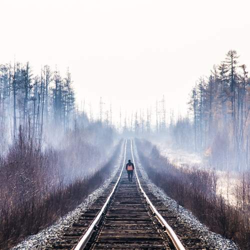 Photo #11354946