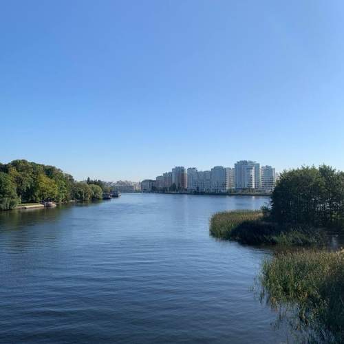 Photo #11355027