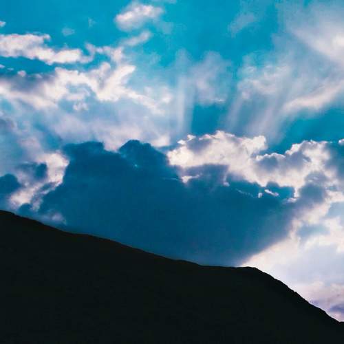 Photo #11355038