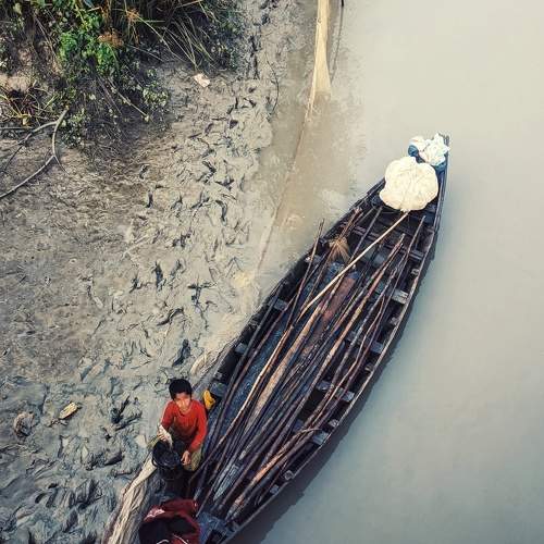 Photo #11355290