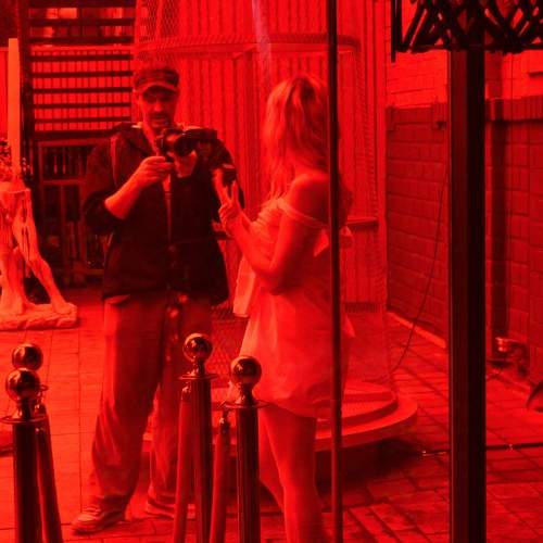 Photo #11355505