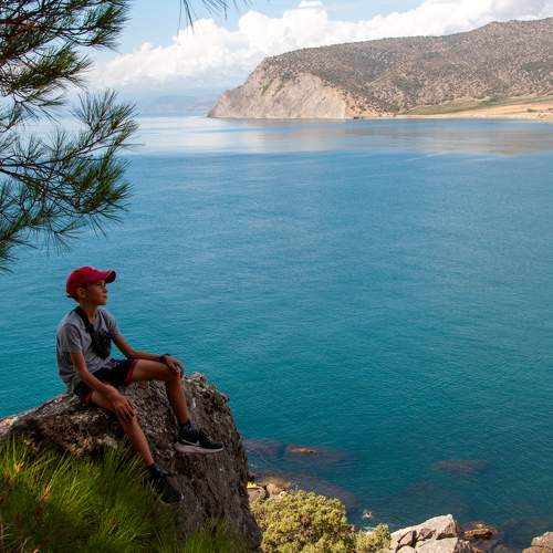 Photo #11355523