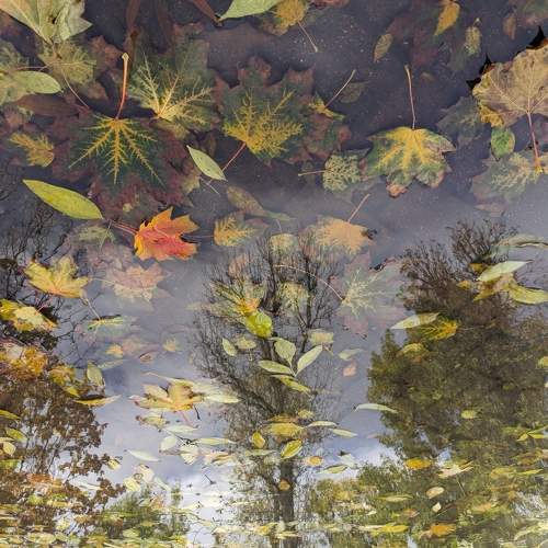 Photo #11355755