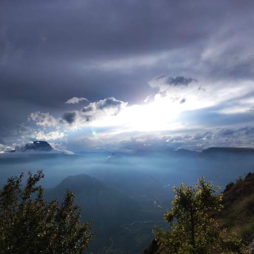 Photo #11355854