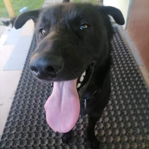 Photo #11356143