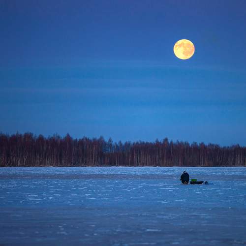 Photo #11356350