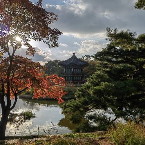 Photo #11356543