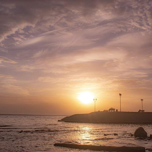 Photo #11356571