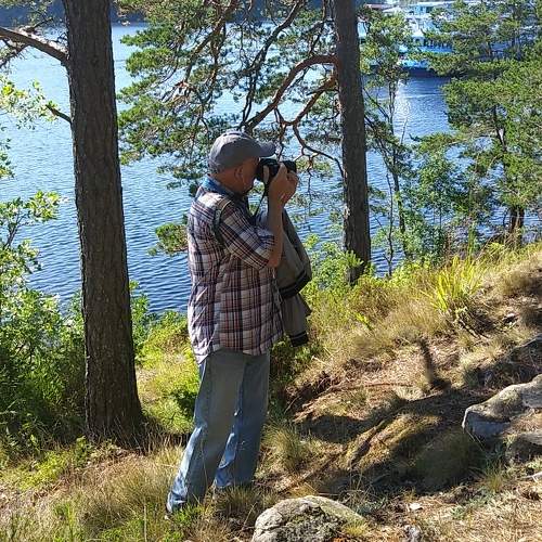 Photo #11356600