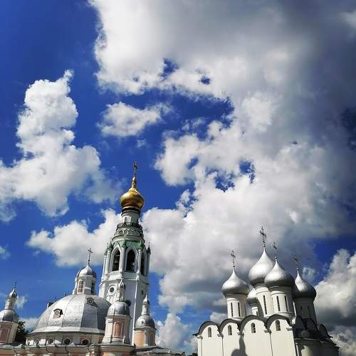 Photo #11356693