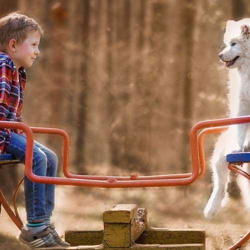 Photo #11356726