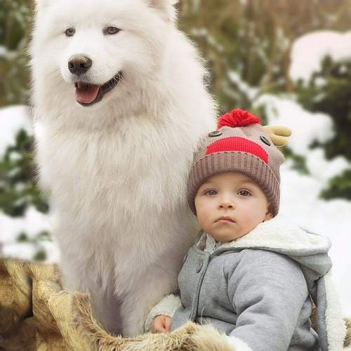Photo #11356728
