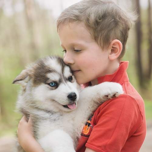 Photo #11356730